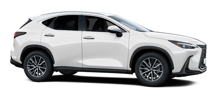 nx