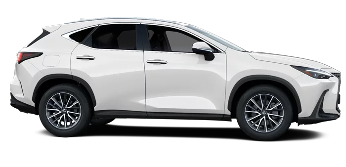 nx