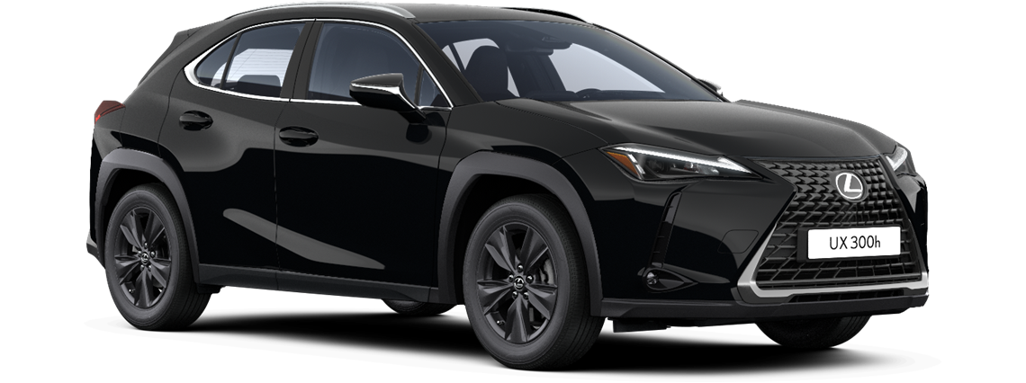 UX 300h AWD