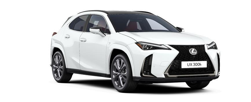 UX F-Sport Bi-tone F White - Black (2LJ), frame 3