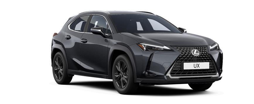 UX Dynamic Sonic Grey (1L1), frame 3