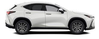 NX Executive