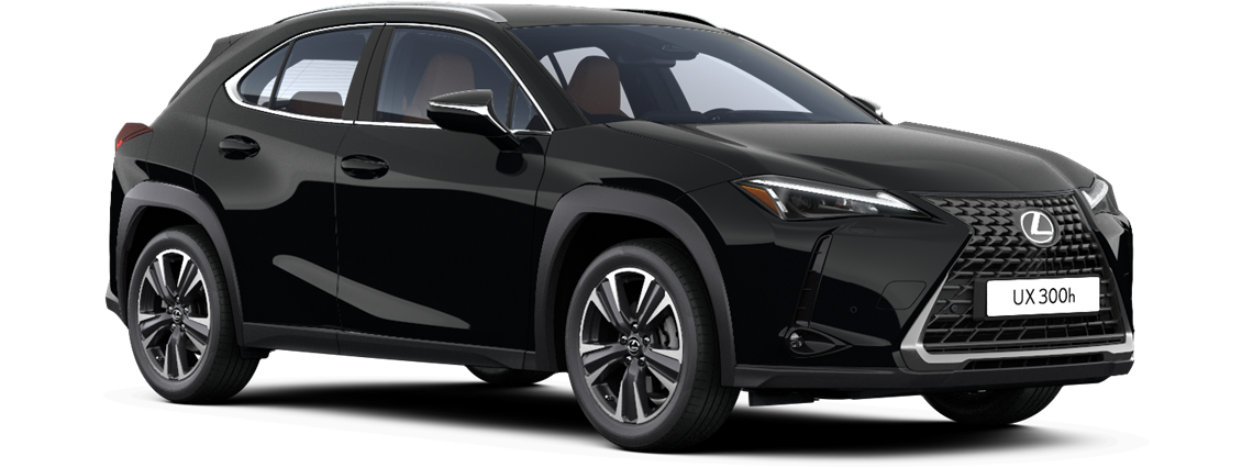 UX 300h AWD