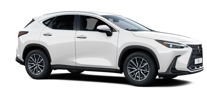 nx