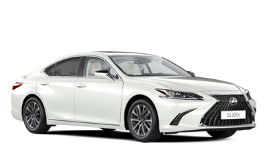 ES hybrid 2.5 L Öntöltő hibrid (218 LE)