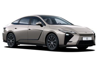 ES hybrid 2.5 TNGA HEV H (196 hp)