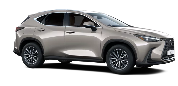 nx