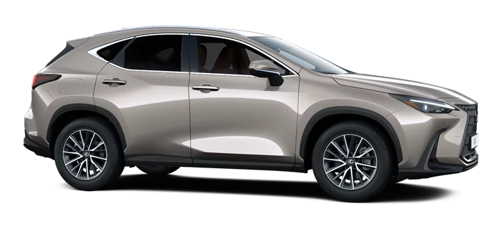 nx
