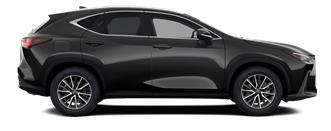 NX Executive