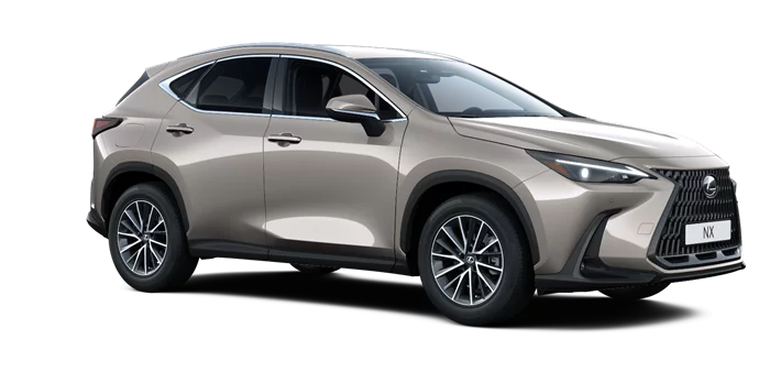 nx