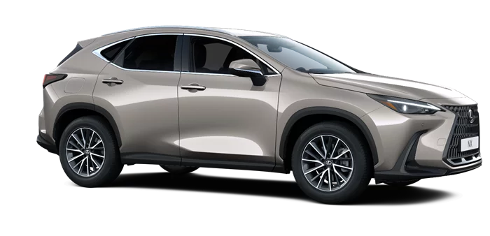 nx