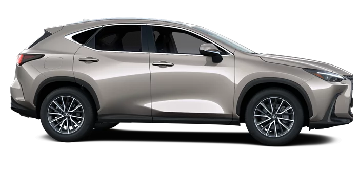 nx
