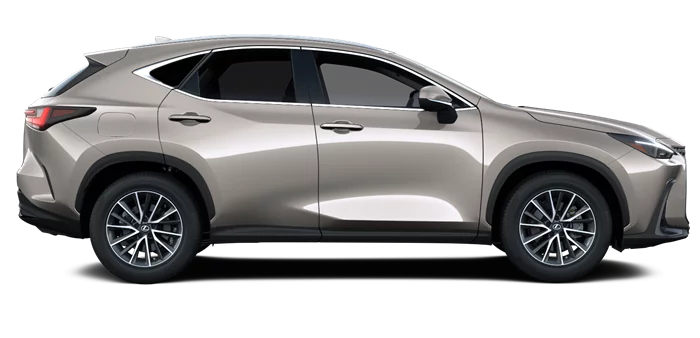 nx