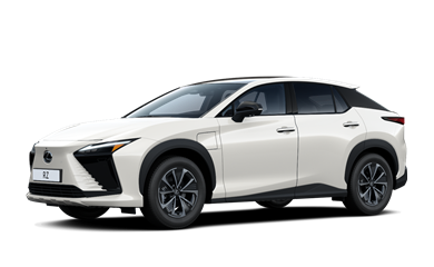 RZ electric Electric motor 300kW 2EL2