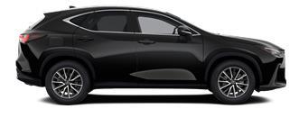 NX Hadori