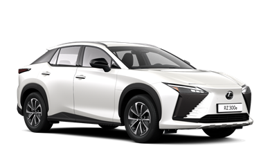 RZ electric Electric Motor 150kW 2EL-