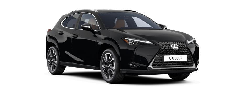 UX Luxury Svartur (212), frame 3