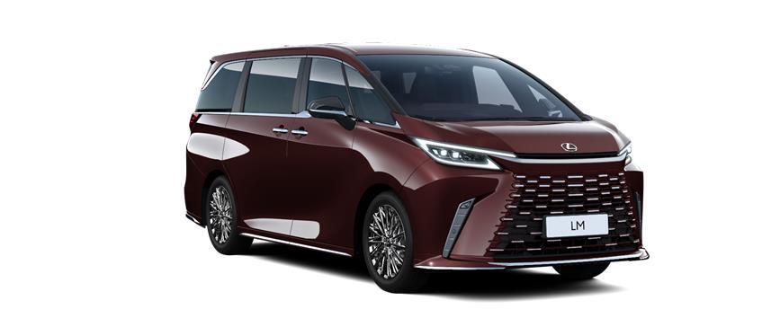 LM Luxury 4 Posti Black Sonic Amethyst, frame 3