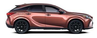 RX Executive