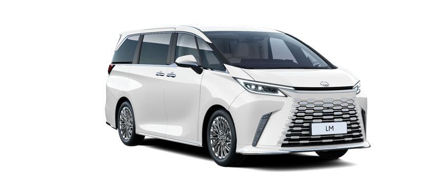 LM Luxury 4 posti Light Pure White, frame 3