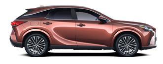 RX Executive