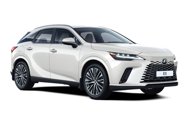 RX Executive Plus 
