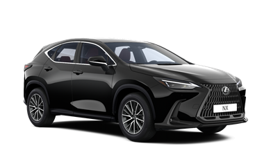 NX Executive 