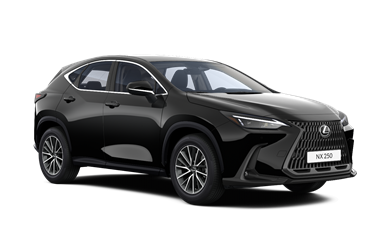 NX Executive 