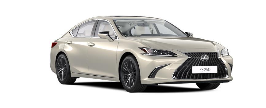 ES PROGRESSIVE Жеңил беж түстөгү металлик (4X8), frame 3