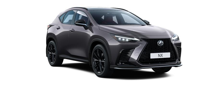 NX F SPORT Luxury Sonic Grey (1L1), frame 3