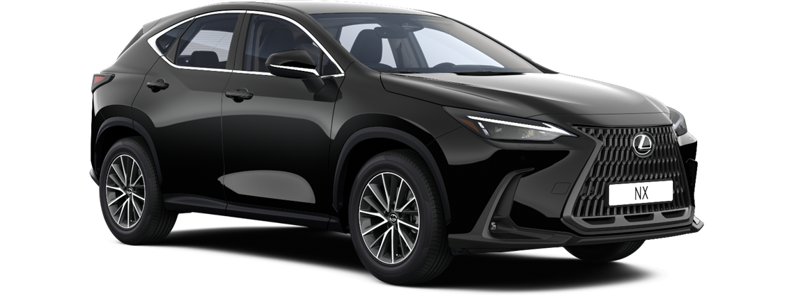 NX 250 AWD