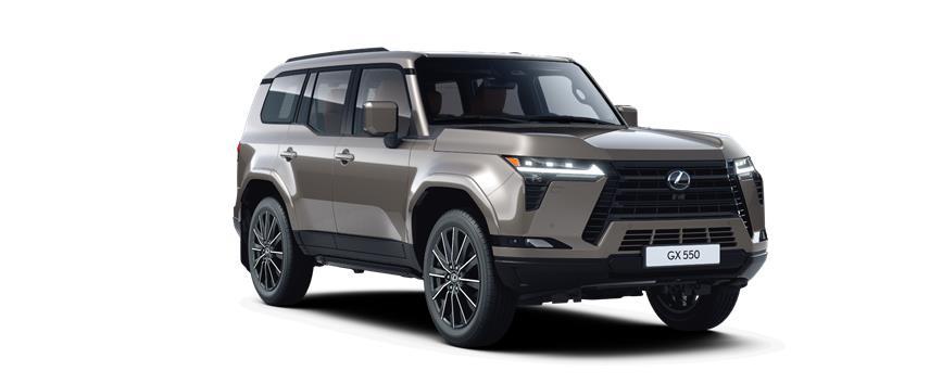 GX Luxury Светло-серый металлик (1J7), frame 3