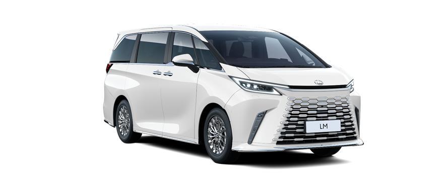 LM Business Белый металлик (085), frame 3