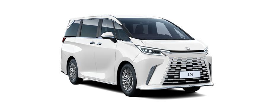 LM VIP Белый металлик (085), frame 3