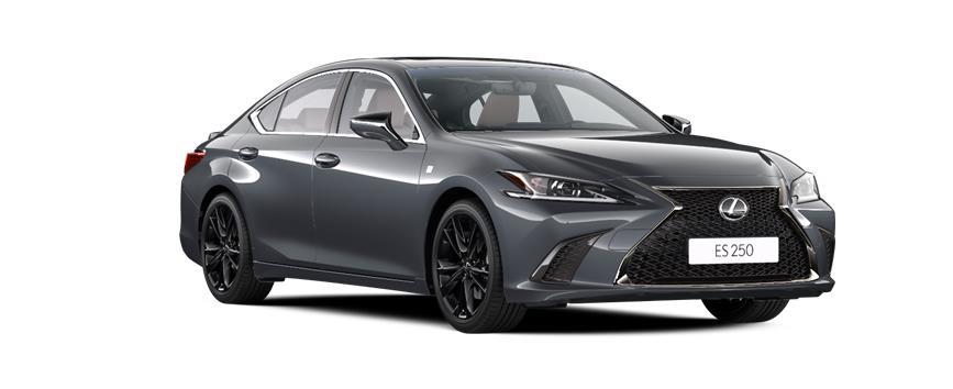 ES F Sport Design СЕРЫЙ МЕТАЛЛИК (1L1), frame 3