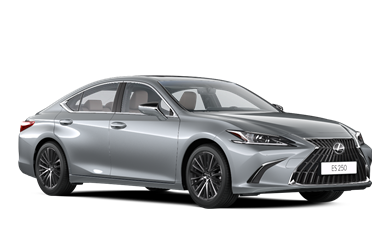 ES petrol 2.5L Petrol 25P-