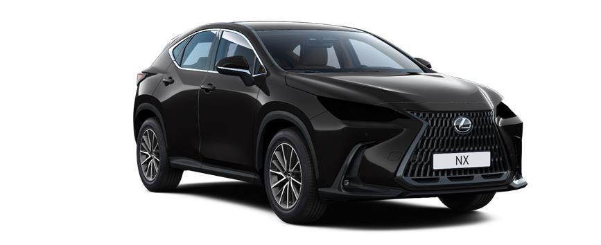 NX Executive Черный (212), frame 3