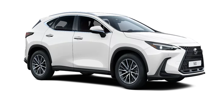 nx