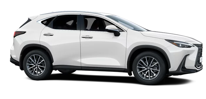 nx