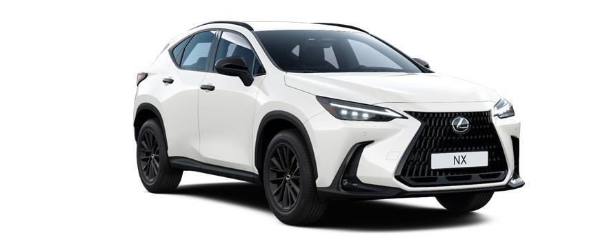 NX Overtrail Белый металлик (085), frame 3