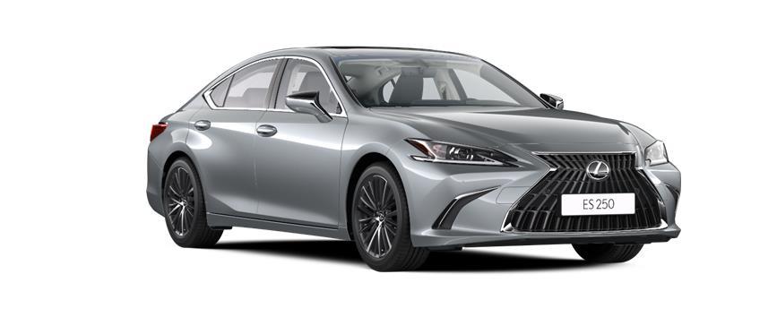 ES Progressive ПЛАТИНОВЫЙ МЕТАЛЛИК (1L2), frame 3