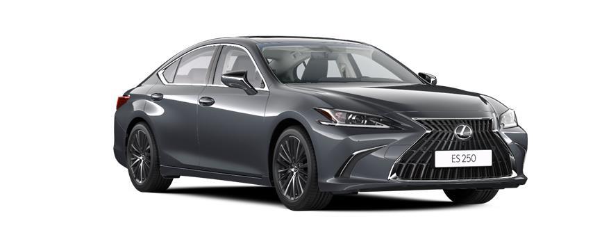 ES Premium СЕРЫЙ МЕТАЛЛИК (1L1), frame 3