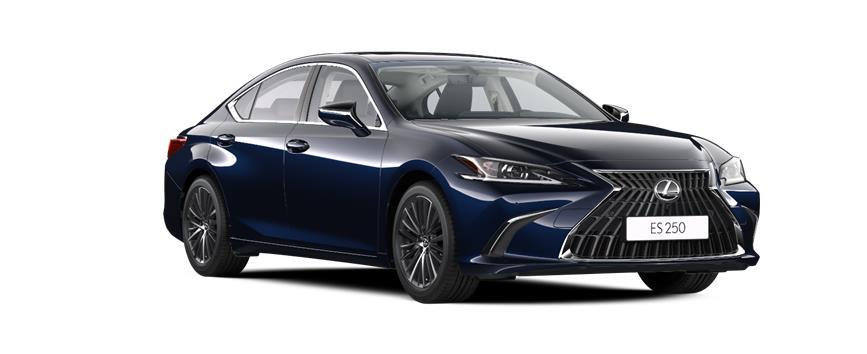 ES Premium Темно-синий металлик (8X5), frame 3