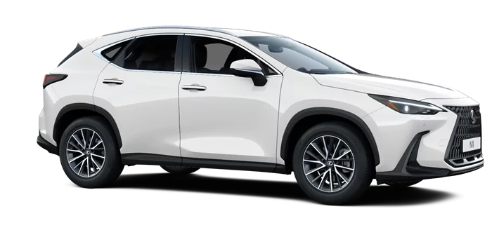 nx