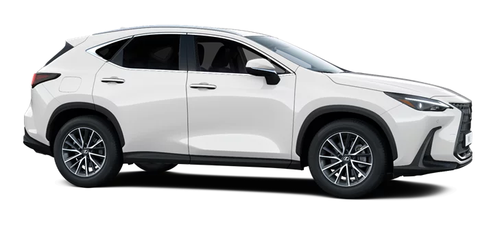 nx