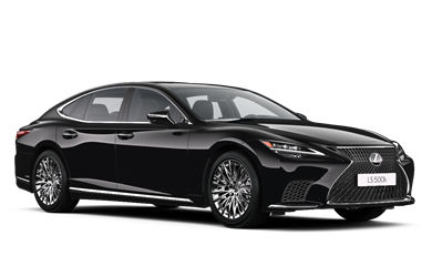 LS Luxury Line Sedan Lang