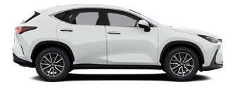 NX Elegance