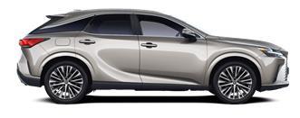 RX Prestige