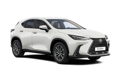 NX Executive 