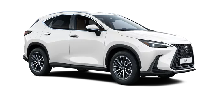 nx